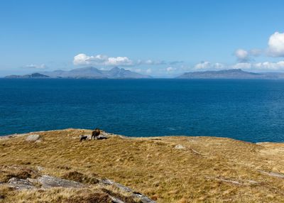 Landscape against calm blue sea