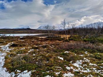 Scenic view of field against sky during winter