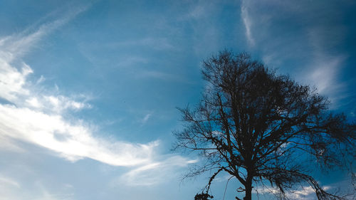 Low angle view of bare tree against blue sky