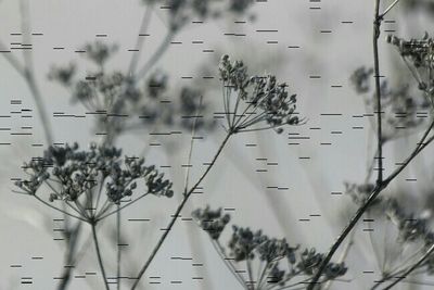 Power lines against sky