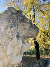 Low angle view of rock formation