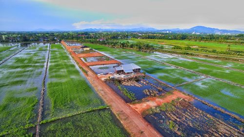 High angle view of agricultural field against sky