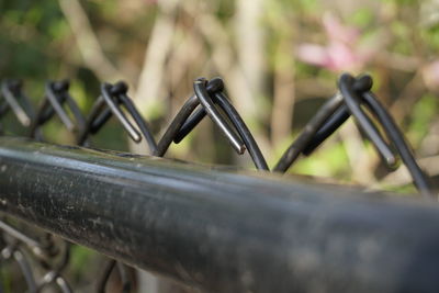 Close-up of barbed wire