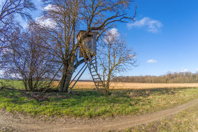 Bare trees on field against sky