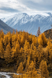 Scenic view of snowcapped mountains against sky