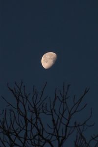 Low angle view of moon against sky at night