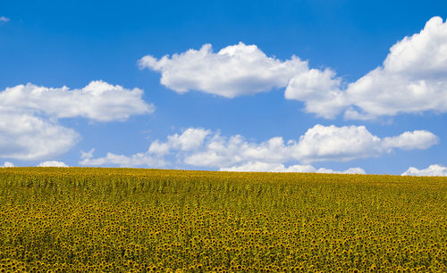 Scenic view of field against cloudy sky