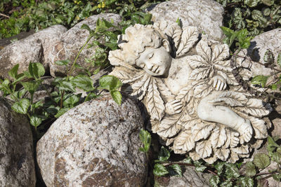 Close-up of statue on rock