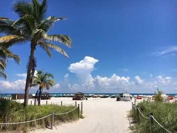 Palm trees on beach against sky