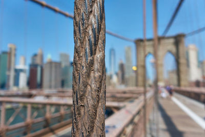 View of bridge in city