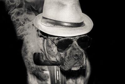 Dog smoking pipe over black background