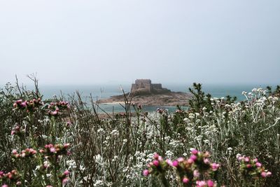 Scenic view of sea against clear sky