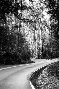 Road amidst trees against sky