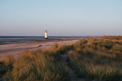 Rear view of woman standing on beach against clear sky