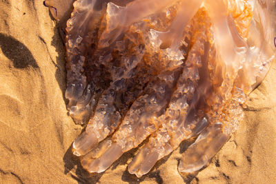 Close-up of rocks on sand
