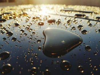 Close-up of water drops on tiled flooring