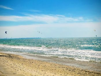 Birds flying over beach