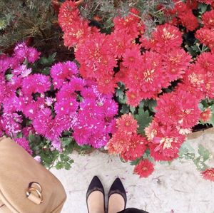 Low section of person standing by pink flowering plants