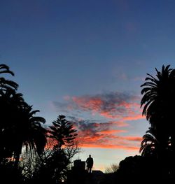 Silhouette palm trees against sky during sunset