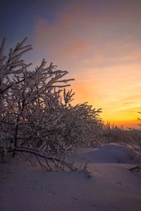 Scenic view of snow covered landscape