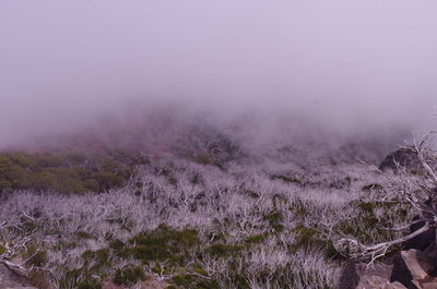 Scenic view of landscape against sky during foggy weather