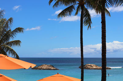 Palm tree by swimming pool against sky