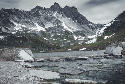 Close-up of horse on mountain against sky