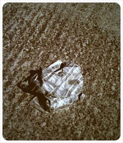 Close-up of dead shell on ground