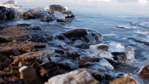 Close-up of rocks in frozen lake
