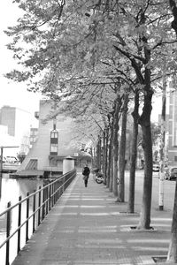 Rear view of man walking on sidewalk in city