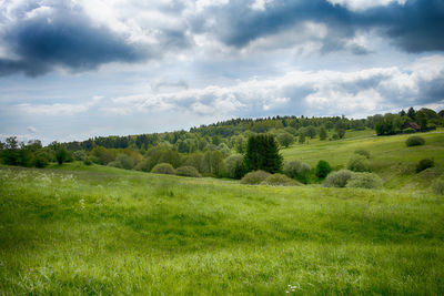 Scenic view of landscape against sky