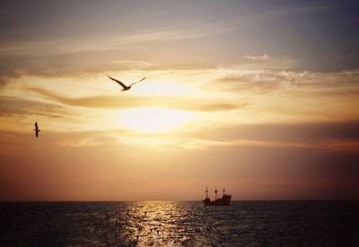 Silhouette bird flying over sea against sky during sunset