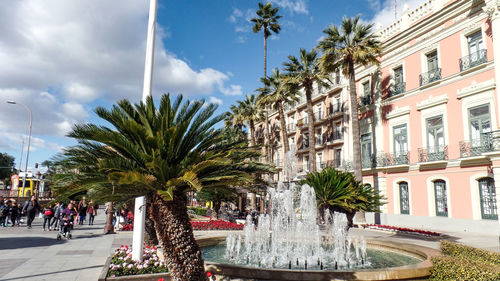 Palm trees and buildings in city against sky