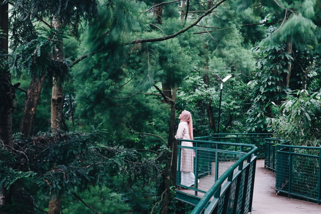 WOMAN STANDING ON A TREE