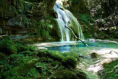 Scenic view of waterfall in forest