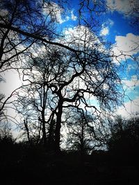 Low angle view of bare trees against sky