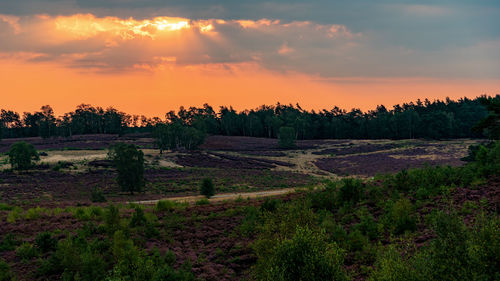 Scenic view of field against sky during sunset