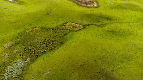 High angle view of sea