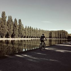 Rear view of man cycling on road