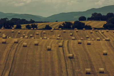 Hay bales on field against sky