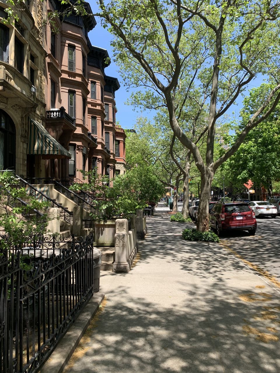 STREET AMIDST TREES AND BUILDINGS