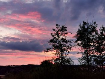 Silhouette trees against sky during sunset