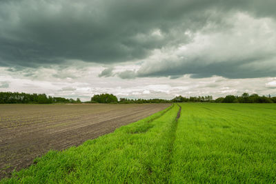 Dark clouds over the fields on a spring day