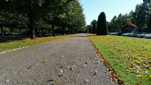 Surface level of road in park