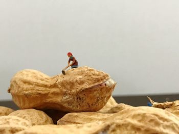 Man on rock against white background