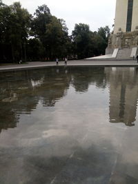 Reflection of trees in lake against sky in city