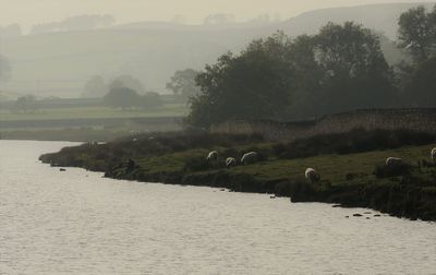 View of a lake