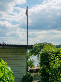 Low angle view of plants against sky