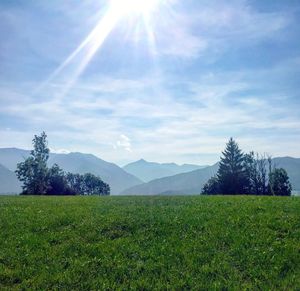 Scenic view of field against sky