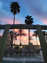 Palm trees against sky during sunset